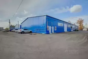 Фото к объявлению #20871619