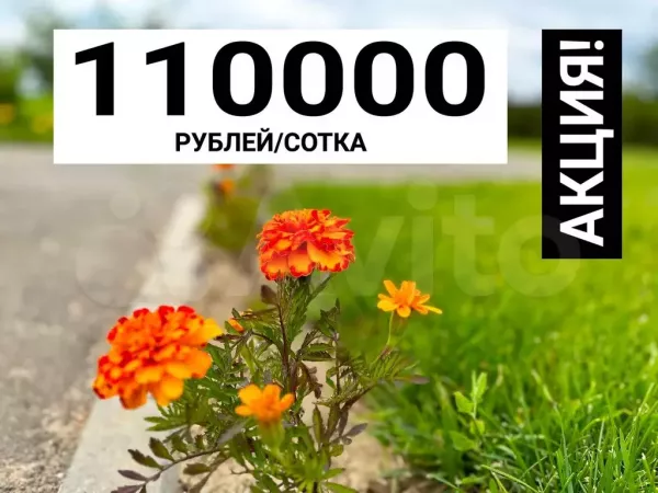 Купить Участок 6000 Рублей За Сотку